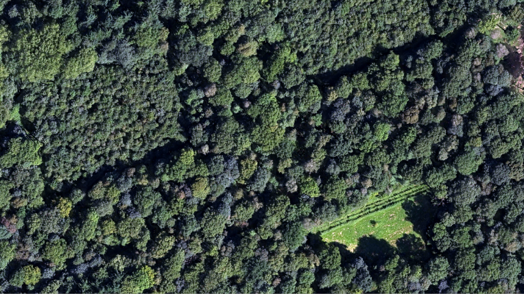 SMART CARBON FARMING